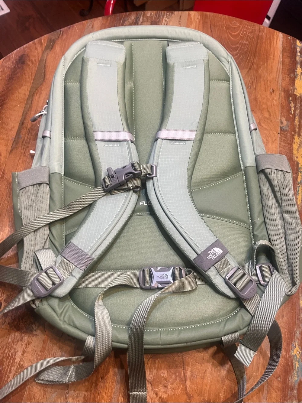 NWT North Face Surge Backpack  Slate Moss/Bark Mist